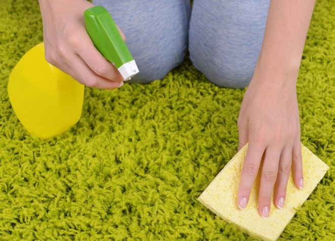 Ako vyčistiť koberec od moču
