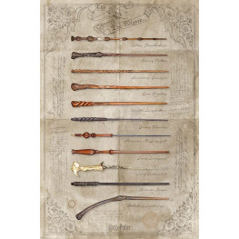Harry Potter plagát Pack The Wand chooses the Wizzard 61 x 91 cm (4)