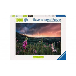 Power of Nature Jigsaw Puzzle A Storm is coming (1000 pieces)