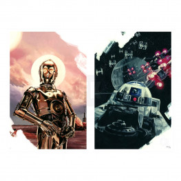 Star Wars Episode IV Set of 2 Art Prints C-3PO & R2-D2 30 x 46 cm - nezarámovaný