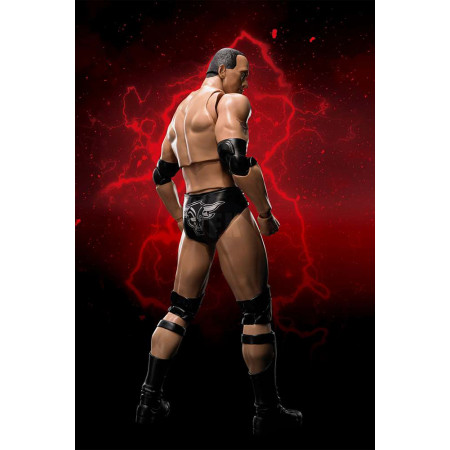 WWE S.H. Figuarts akčná figúrka The Rock 16 cm
