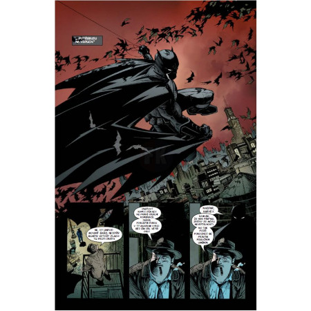 Batman: Soví tribunál (brož.)
