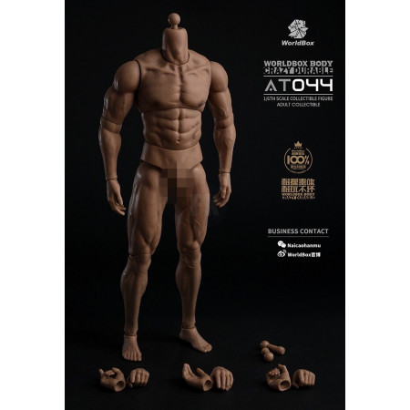 1/6 Scale Durable Male Body AT044