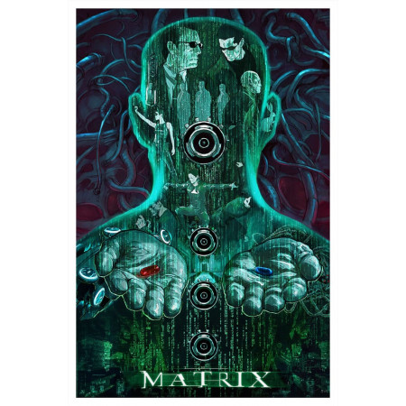 The Matrix Art Print 41 x 61 cm - nezarámovaný