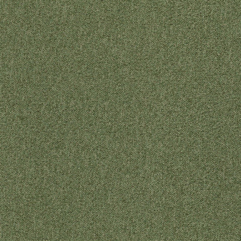 Kobercové čtverce TESSERA TEVIOT olivové 50x50 cm