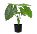 Umelá rastlina FILODENDRON zelená 50 cm