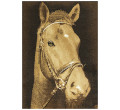 Koberec Nairobi - Kôň 542808/50941, hnedý