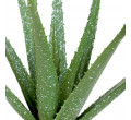 Umělá rostlina SEMELA aloe 875118 32 cm