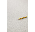 PVC podlaha Lentex Ranger 60301