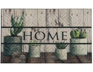 Rohožka ARO Home -kaktusy, viacfarebná