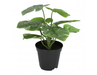 Umelá rastlina MONSTERA zelená 29 cm 