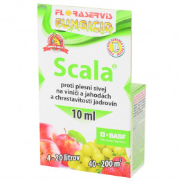 Scala 10ml [80]