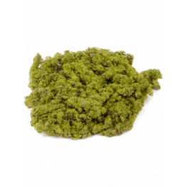 Moss plate Green/It brown 20 cm