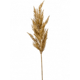 Grass pampas Beige 115 cm