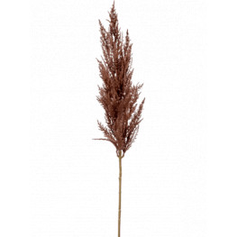 Grass pampas Branch brown 92 cm