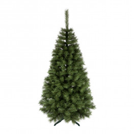 Vianočný stromček borovica obyčajná 250cm