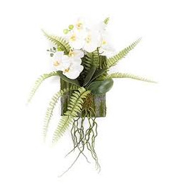 Phalaenopsis fern decoration M 35x18 cm