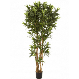 Umelá rastlina Croton goldfinger reflexa 150 cm