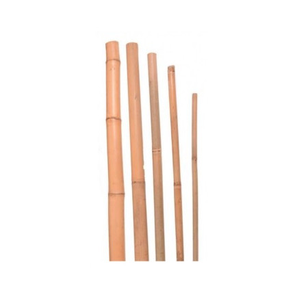 Bambus. tyč prírodná 14/16 180cm
