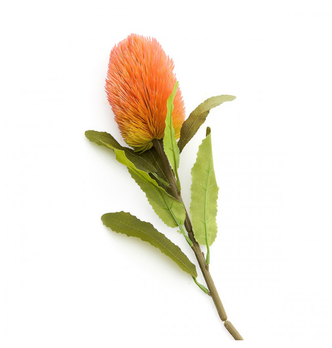 Umělý květ MALUM banksia SS24 883618 66 cm