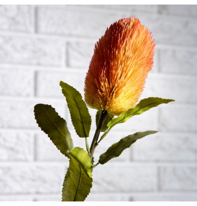 Umělý květ MALUM banksia SS24 883618 66 cm