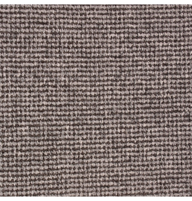 Metrážny koberec LION sivý