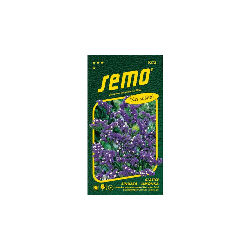 Limonka statica fialová 25 SEMO 9372