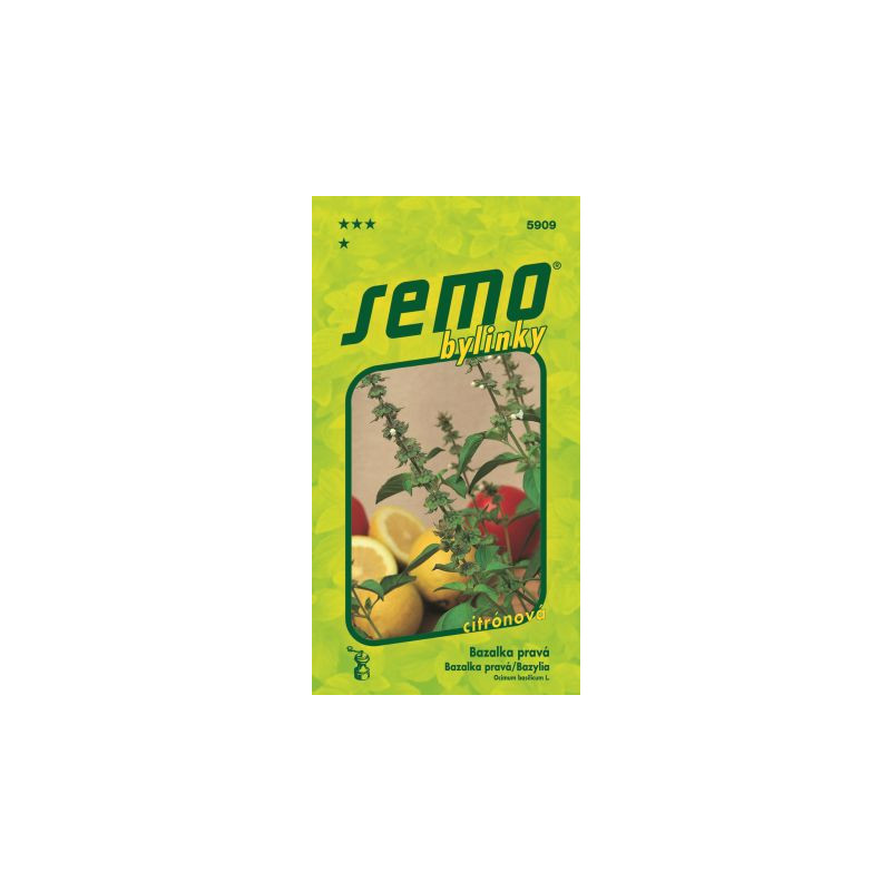 Bazalka Lime citrónová 24 SEMO 5909