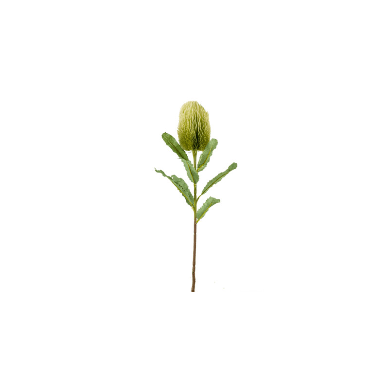Umelá rastlina Banksia Branch zelená 65 cm