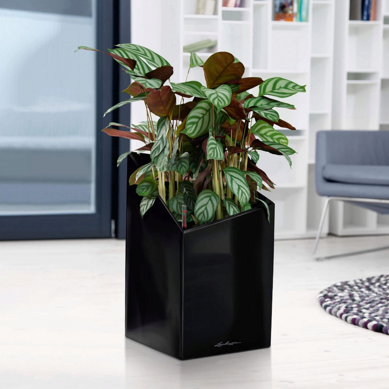 Lechuza Cursivo Premium Single planter black 40x40x67 cm