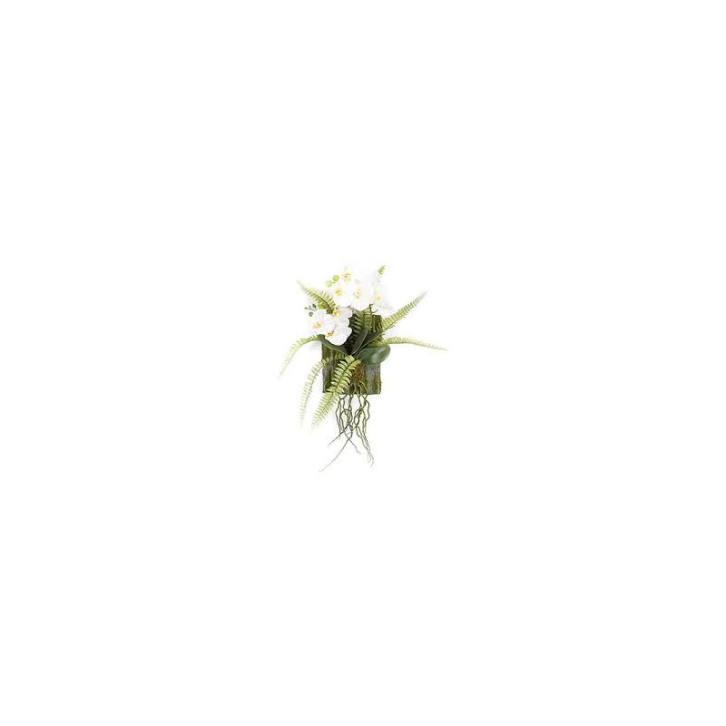 Phalaenopsis fern decoration M 35x18 cm