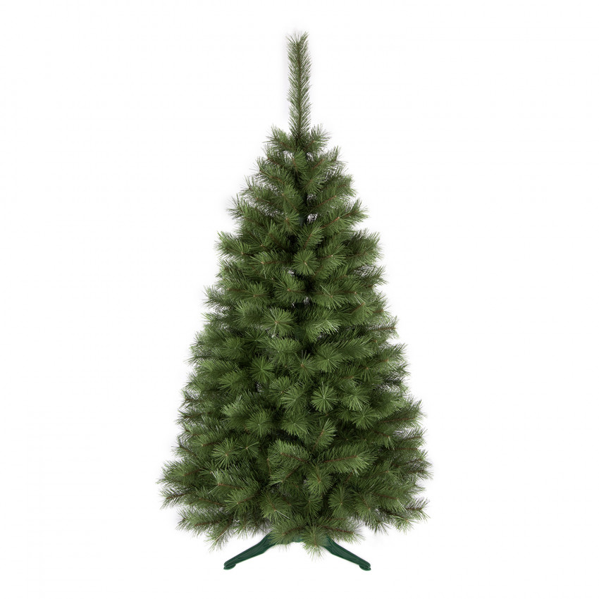 Vianočný stromček borovica obyčajná 150cm