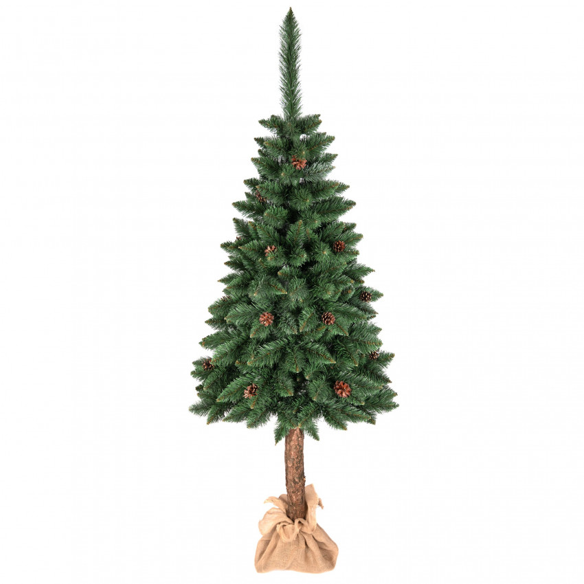 Vianočný stromček borovica klasická na kmeni so šiškami 120 cm