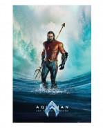 Aquaman and the lost Kingdom plagát Pack Tempest 61 x 91 cm (4)