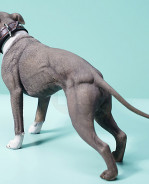 1/6 Scale American Pit Bull Terrier (čierny)