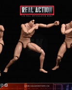 1/6 Scale Real Type 6.0 Action Body with detachable Neck Type-A (akčné telo s odnímateľným krkom typ: A)