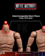 1/6 Scale Real Type 6.0 Action Body with detachable Neck Type-A (akčné telo s odnímateľným krkom typ: A)