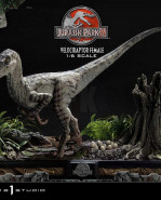 Jurassic Park III Legacy Museum Collection socha 1/6 Velociraptor Female 44 cm