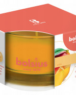 BOLSIUS Sviečka Jar True Scents 50/80 mm mango