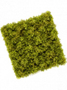 Umelá zelená stena Moss mat weater 50x50 cm