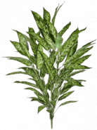 Umelá rastlina Aglaonema Variegated Bush 85 cm