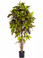 Umelá rastlina Croton branched 180 cm