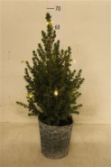 Picea glauca conica s LED svetielkami 19x60 cm