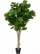 Umelá rastlina Ficus lyrata 180 cm