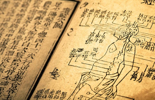 Wenn China die Trends setzt - Kochen lernen nach den Regeln der chinesischen Medizin