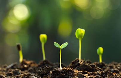 ​SLOW FOOD – ako zachrániť zdravou stravou celú planétu