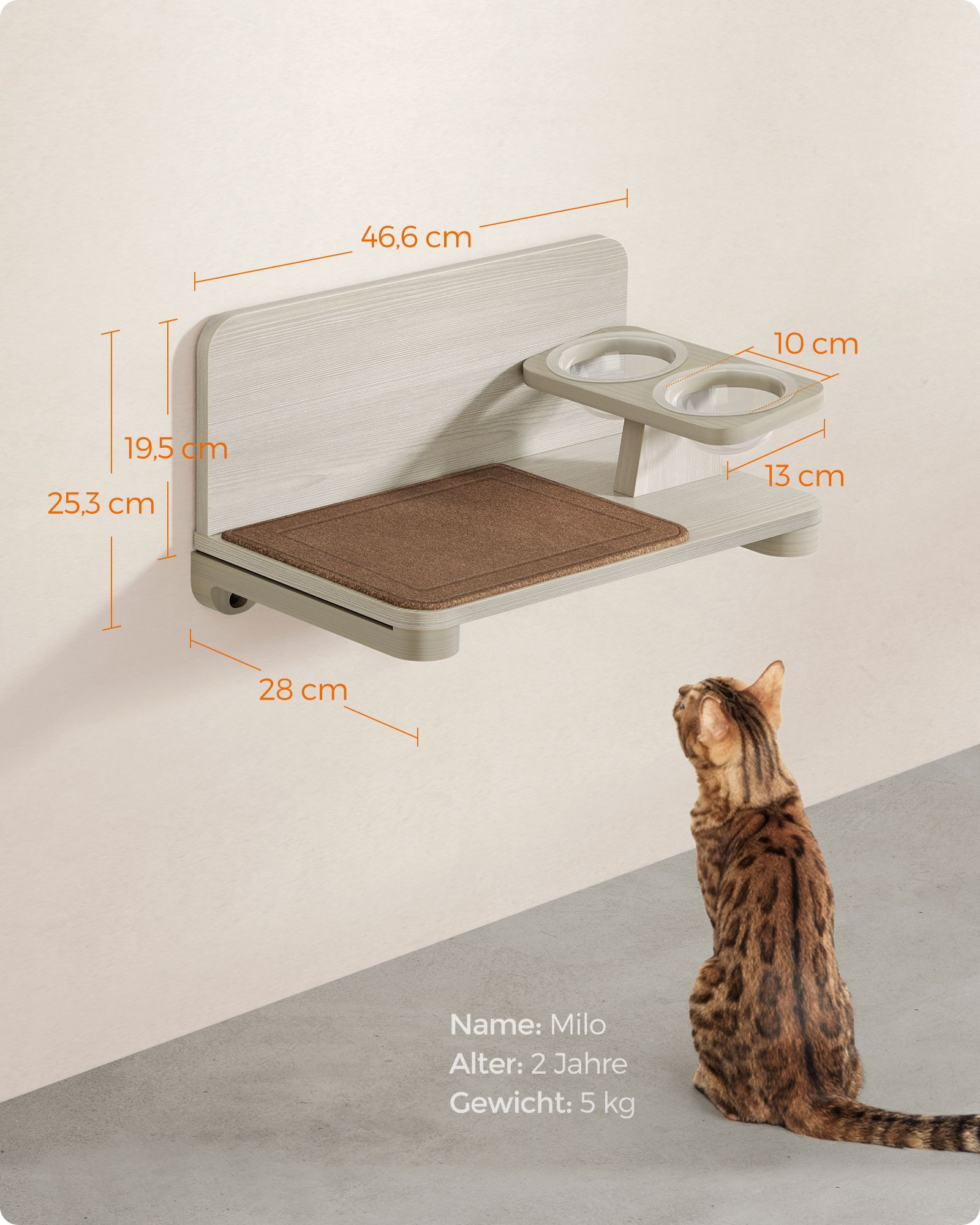 Clickat nástěnná deska na krmivo pro kočky PCK009T66