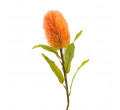 Umelý kvet MALUM banksia SS24 883618 66 cm
