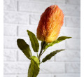 Umelý kvet MALUM banksia SS24 883618 66 cm