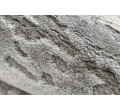 Koberec AKRYL VALS 2359 Abstrakce sloní kost / šedý